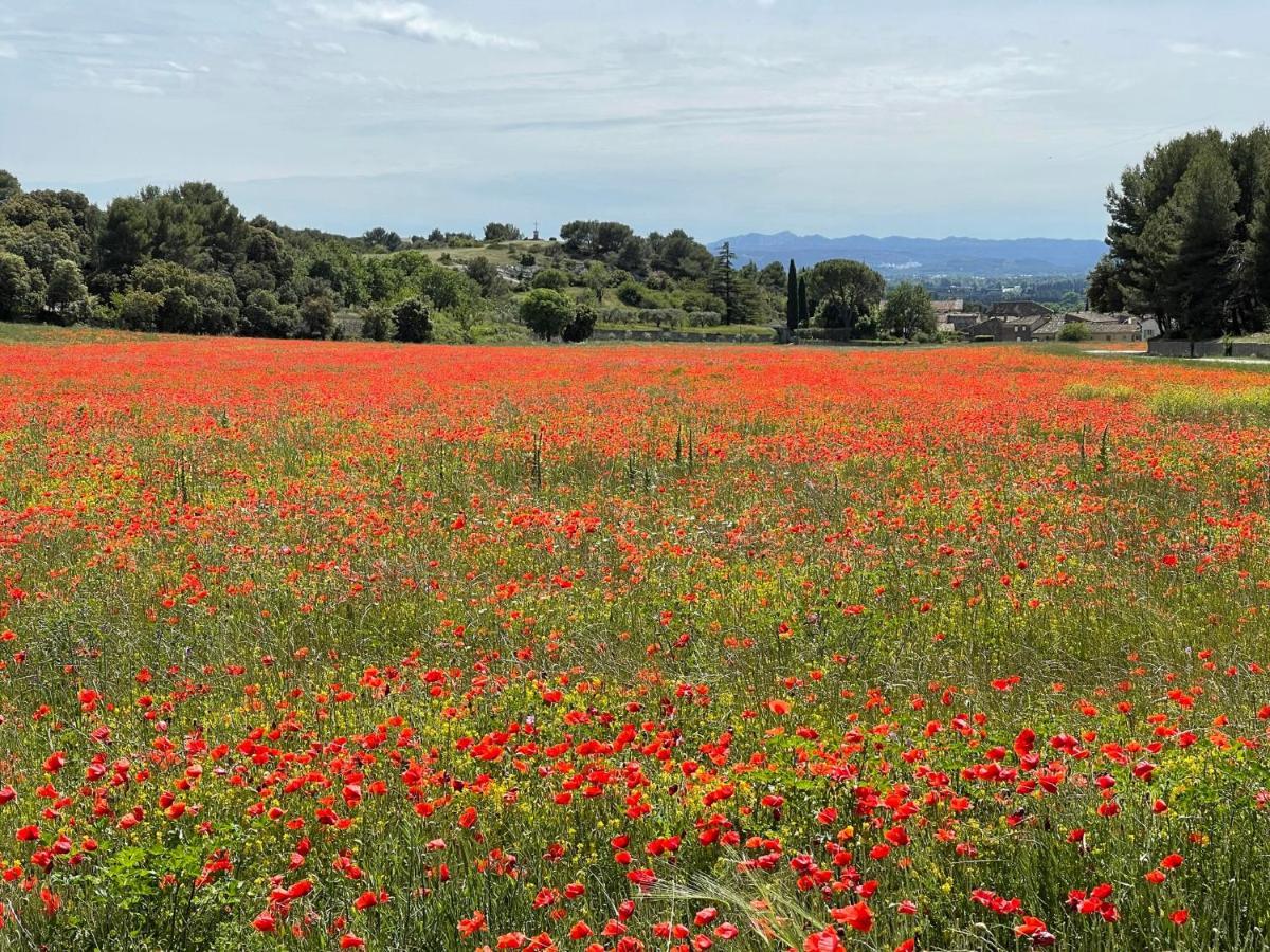 LʼIsle-sur-la-Sorgue Fleurs De Provence 아파트 외부 사진